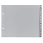 Exacompta - Réf 1723B - Intercalaires en polypropylène gris - 20 touches imprimées - alphabet allemand - format 2/3 A4 - polypro Exacompta - Réf 1723B - Intercalaires en polypropylène gris - 20 touches imprimées - alphabet allemand - format 2/3 A4 - polypro