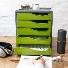 Rotho Spacemaker Boîte à Tiroirs / Boîte de Bureau à 5 Tiroirs, Plastique (Ps) sans BPA, Vert / Noir, 33,5 X 28,5 X 32,0 cm