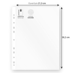 Waytex 931305 Pochettes Perforées A4 Transparentes Grainées 60 microns - Paquet de 100