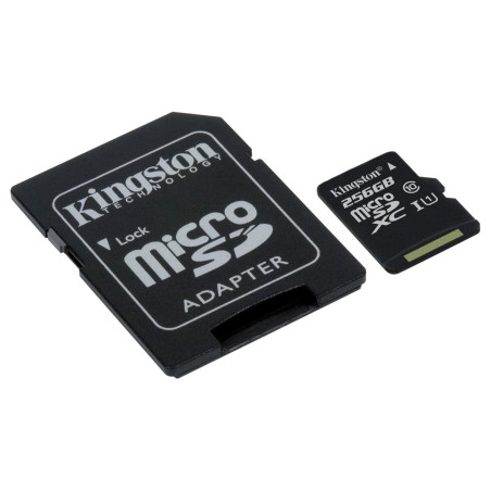 Kingston SDCS/256GB MicroSD Canvas Select UHS-I Classe 10 avec vitesse de lecture allant jusqu’à 80Mo/s ( avec adaptateur SD ) -
