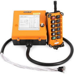 NEWTRY Grue sans Fil 12 V avec télécommande pour Grue Industrielle, émetteur et récepteur (récepteur DC 12 V)