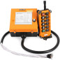 NEWTRY Grue sans Fil 12 V avec télécommande pour Grue Industrielle, émetteur et récepteur (récepteur DC 12 V) NEWTRY Grue sans Fil 12 V avec télécommande pour Grue Industrielle, émetteur et récepteur (récepteur DC 12 V)