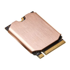 Newwyt Dissipateur de chaleur M2 2230 SSD M2 NVMe dissipateur de chaleur à disque dur à l'état solide pour SteamDeck Game 2230 S