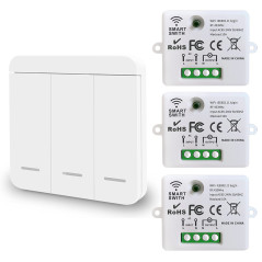 DieseRC Mini commutateur WiFi sans fil télécommande RF 2500W 10A 3 récepteurs avec 1 interrupteur mural sans fil contrôle intell