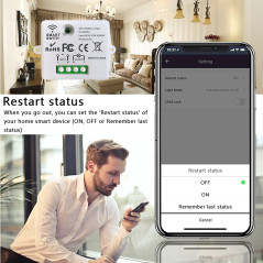 DieseRC Mini commutateur WiFi sans fil télécommande RF 2500W 10A 3 récepteurs avec 1 interrupteur mural sans fil contrôle intell