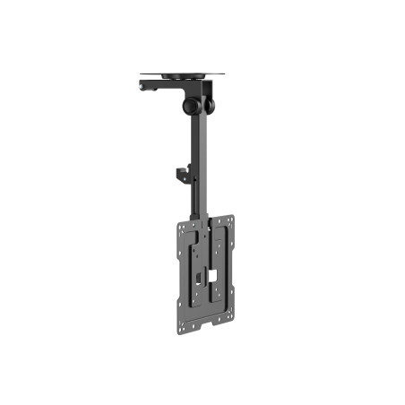 Equip 650375 Support de Plafond pour TV 23-55"