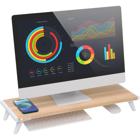 TECHLY 368352 Support pour moniteur universel et ergonomique Beige