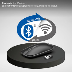 Inca Souris IWM-531RA Wrls & BT, Bouton 4D, Batterie, Spec