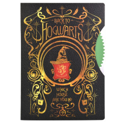 Blue Sky Studios Harry Potter Bloc-Notes Spinner Colourful Crest (Carton de 6)