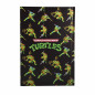 Carnet Tortues Ninja A5 Premium 21Cm