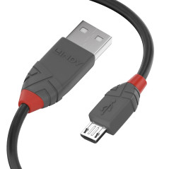 Lindy 36734 Câble USB 2.0 type A vers Micro-B 3 M