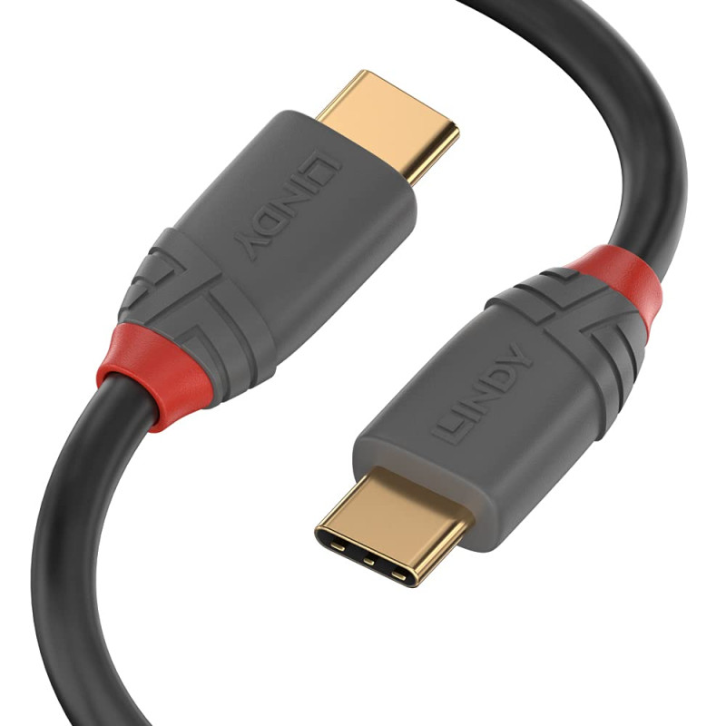 LINDY 36900 Câble USB 3.1 Type C/C 5A 0.5 M