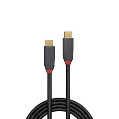LINDY 36900 Câble USB 3.1 Type C/C 5A 0.5 M