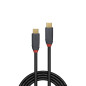 LINDY 36900 Câble USB 3.1 Type C/C 5A 0.5 M