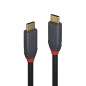 LINDY 36900 Câble USB 3.1 Type C/C 5A 0.5 M