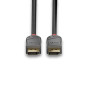 LINDY 36480 Câble DisplayPort