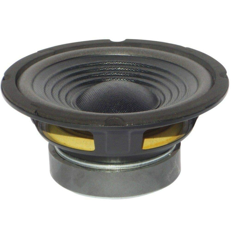 HAUT PARLEUR SUB SUBWOOFER MASTER AUDIO CW800/4+4 CW 800/4+4 DE 20,00 CM 200 MM 8" 150 WATT RMS ET 300 WATT MAX DOUBLE BOBINE DE