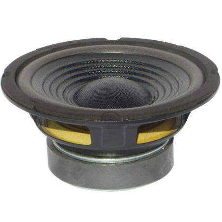 HAUT PARLEUR SUB SUBWOOFER MASTER AUDIO CW800/4+4 CW 800/4+4 DE 20,00 CM 200 MM 8" 150 WATT RMS ET 300 WATT MAX DOUBLE BOBINE DE
