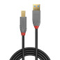 LINDY - Câble USB vers USB 3.2 A/B, Anthra Line 3 Mètre, Câble avec Transfert de Données de 5Gbps| Compatible avec TV, Monitor, LINDY - Câble USB vers USB 3.2 A/B, Anthra Line 3 Mètre, Câble avec Transfert de Données de 5Gbps| Compatible avec TV, Monitor,