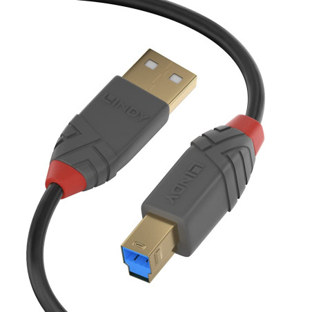 LINDY Câble USB 3.2 type A/B Anthra Line 5 m