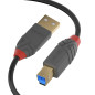 LINDY Câble USB 3.2 type A/B Anthra Line 5 m LINDY Câble USB 3.2 type A/B Anthra Line 5 m