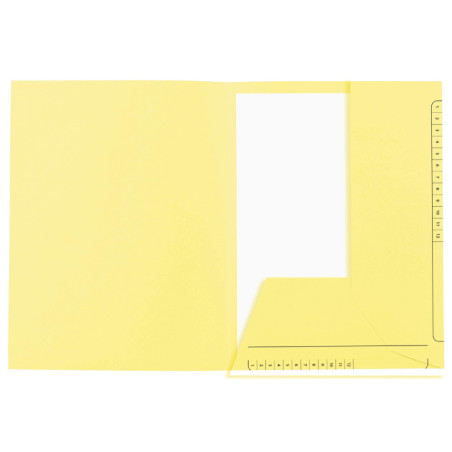 Exacompta - Réf. 334005E - Paquet de 25 chemises rigides imprimées avec 2 rabats SUPER 210 g/m² - couleurs pastel - certifiées P