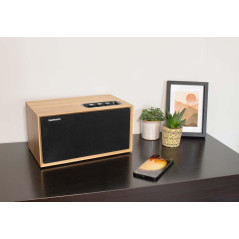 THOMSON Enceinte résidentielle en Bois Bluetooth 100W 'Cosy WS502