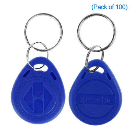LIBO 125KHz Smart ID Key Tag RFID Carte de contrôle d'accès Proximité EM4100 TK4100 Keyfobs Porte-clés RFID NFC Token Badge Hold