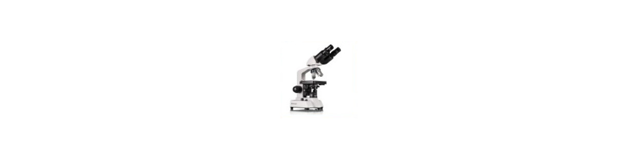 Microscopes stéréo