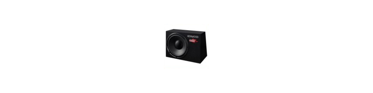 Boomers et subwoofers