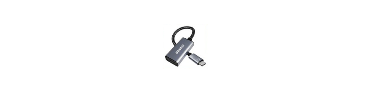Adaptateurs Thunderbolt