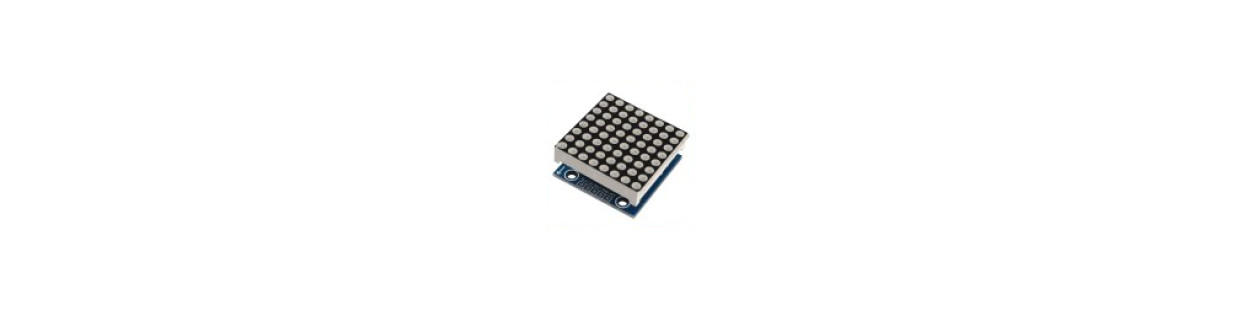 Modules de matrices de points LCD