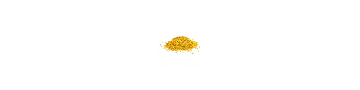 Matériel pour apiculture