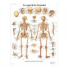 Fournitures médicales professionnelles